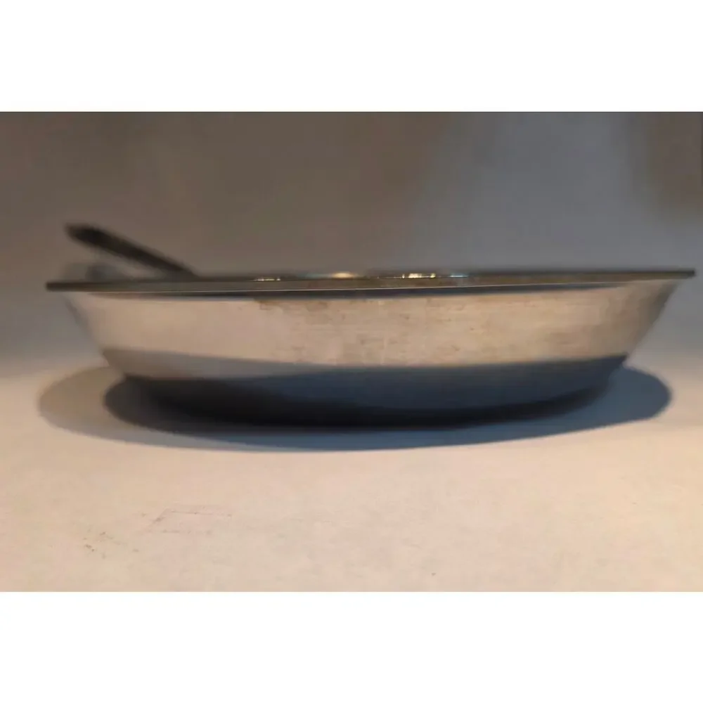 All-Clad Stainless Steel Fry Pan Skillet 10